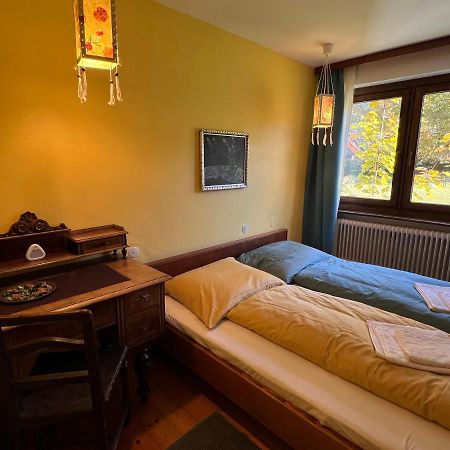 Haus Im Gruenen Apartment Saalfelden Exterior foto