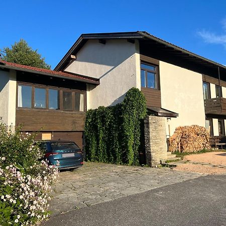 Haus Im Gruenen Apartment Saalfelden Exterior foto